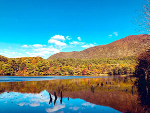 添乗員日記 太平観光株式会社